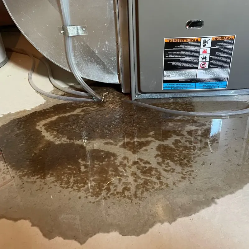 Pipe Burst and Leak Restoration in Zanesville, OH