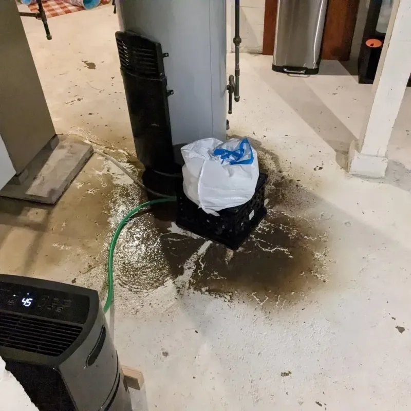 Sewage Backup Cleanup Service in Zanesville, OH